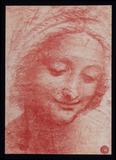 Head of a Woman by Leonardo da Vinci